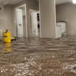 Denver Water Damage Restoration: Recovering Your Home and Budget